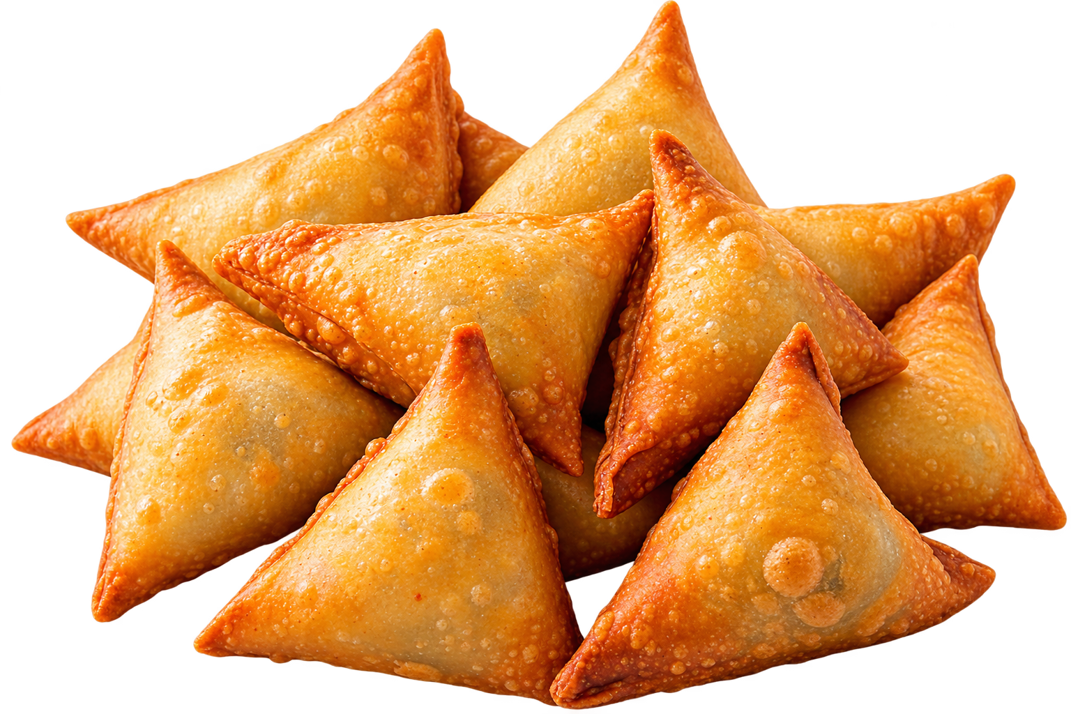 Beef Samosa